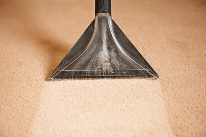 Image result for carpet cleaning